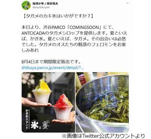 “タガメシロップ”かき氷が話題「夏といえば、タガメ」 | Narinari.com