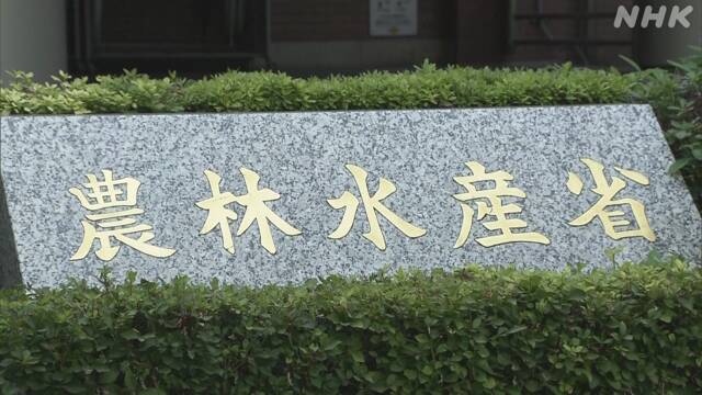 農林水産物と食品の輸出額 5月 5か月ぶりにプラスに | NHKニュース
