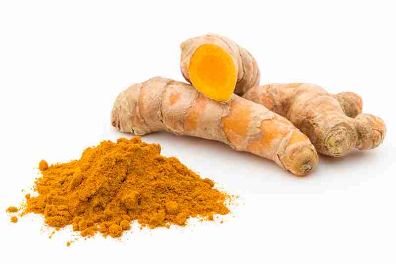 全身黄色の珍しいカメ、インドで発見