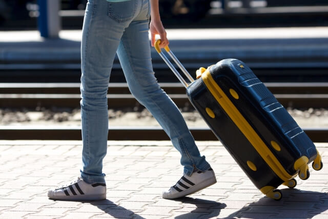 国内旅行の希望時期、4人に1人は「秋～年末ごろ」　飛行機での移動は「来年以降」が3割