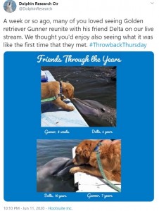 6年前からずっと仲良しの犬とイルカ、種族を超えた友情が美しい(米)