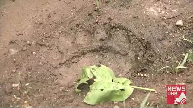 北海道ニュース UHB | UHB 北海道文化放送