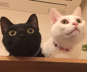 結局幸せな人生とはどんな人生なのか