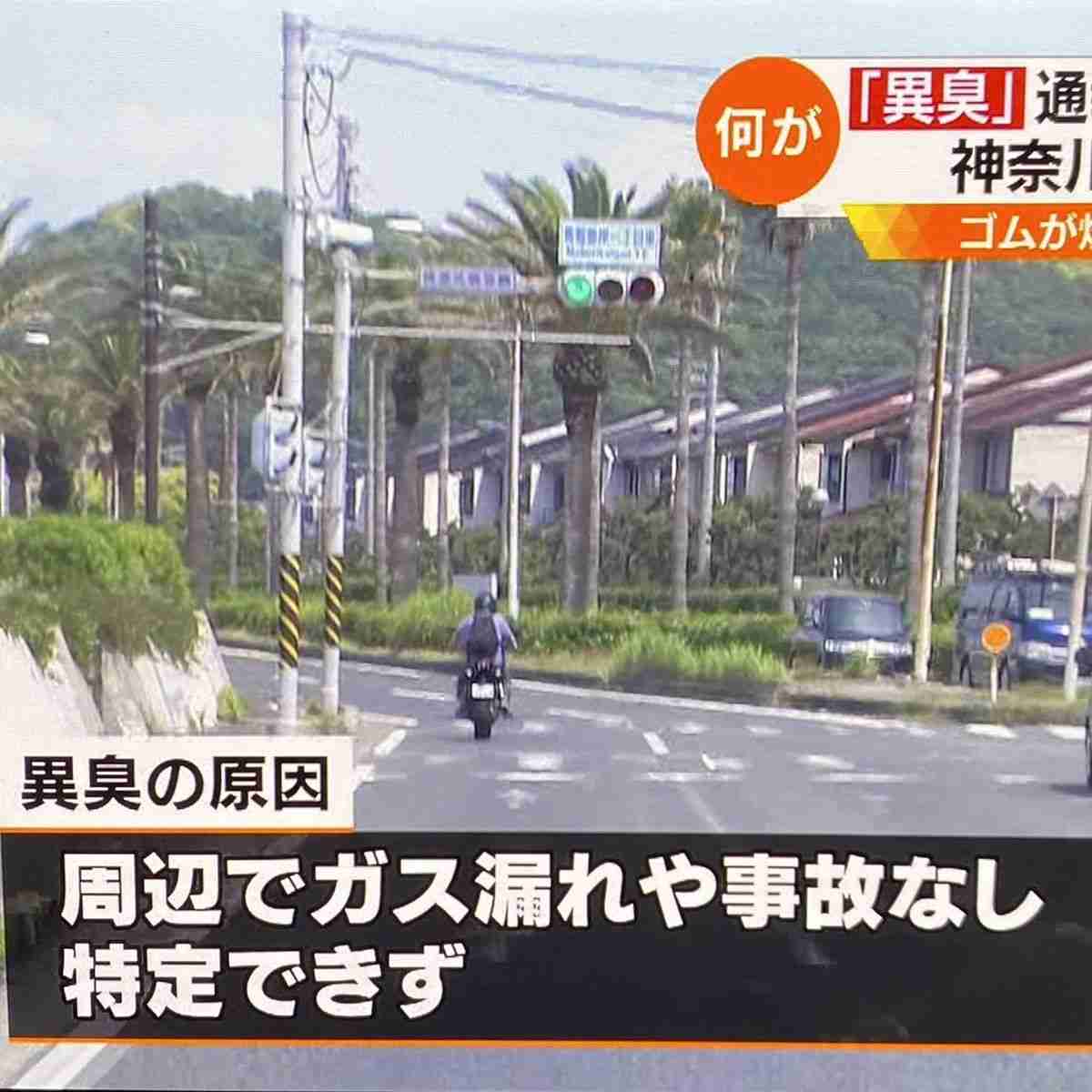 神奈川県の三浦半島を中心に謎の異臭騒ぎが発生　大地震の前触れでは？と怯えるネット民 - NAVER まとめ