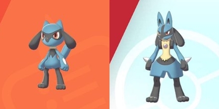 本郷奏多『ポケモンカードゲーム』ガチ勢と判明、一般大会にも参加 ルカリオ愛の姿に好感の声