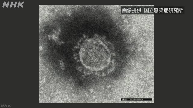 神奈川・埼玉・千葉 感染者の年代は？感染経路は？新型コロナ | NHKニュース