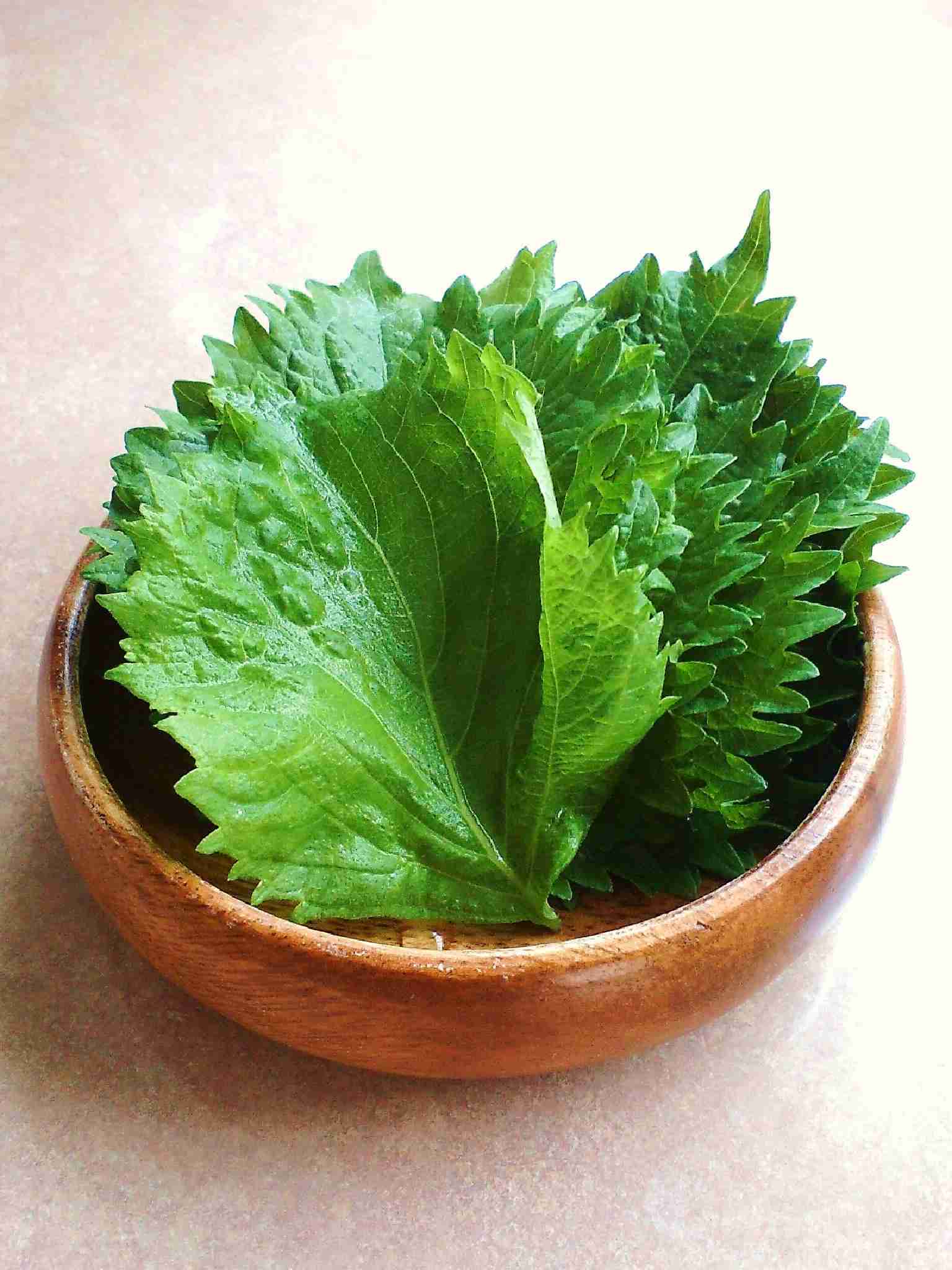 ご主人がお弁当の方、毎日の献立どうやって考えてますか？