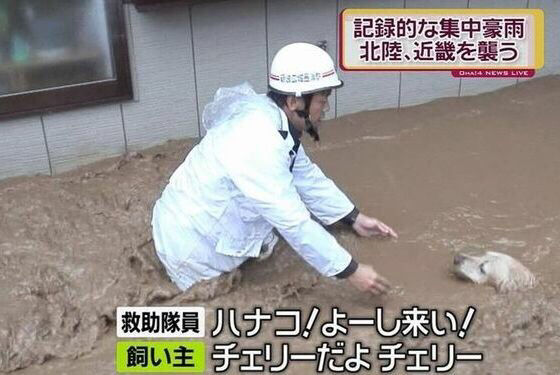 何度見てもじわじわくる画像part3