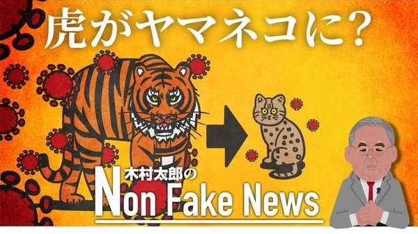 「どう猛な虎からヤマネコに変わった」新型コロナウイルスはワクチンを待たずに消滅か イタリアの医師が証言