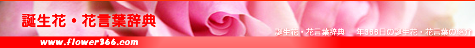 誕生花・花言葉辞典