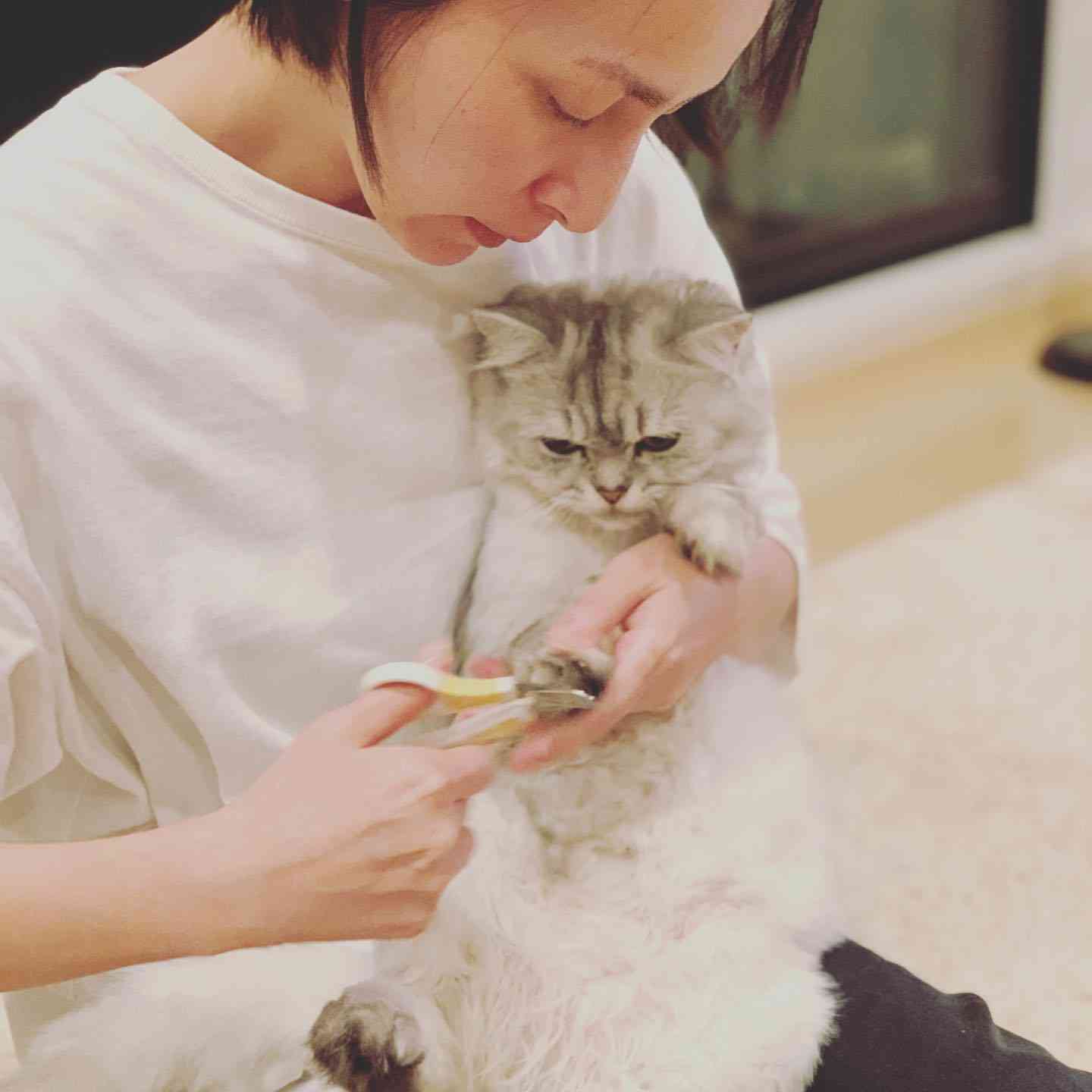 奥菜恵の夫木村了、妻子の料理姿に「幸せ噛み締め」「生きててよかった」
