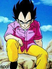 いろんなベジータが見たいPart3