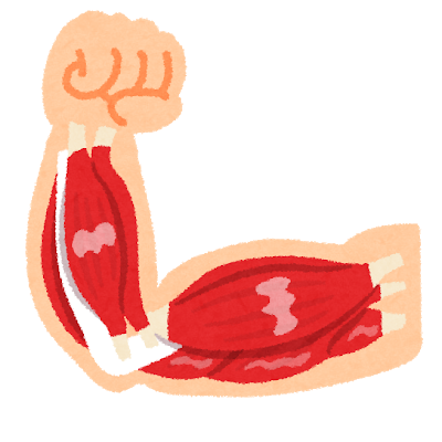 筋肉痛が好き！！