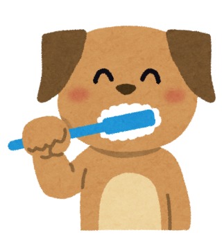 ペットの歯石除去と全身麻酔(犬・猫)