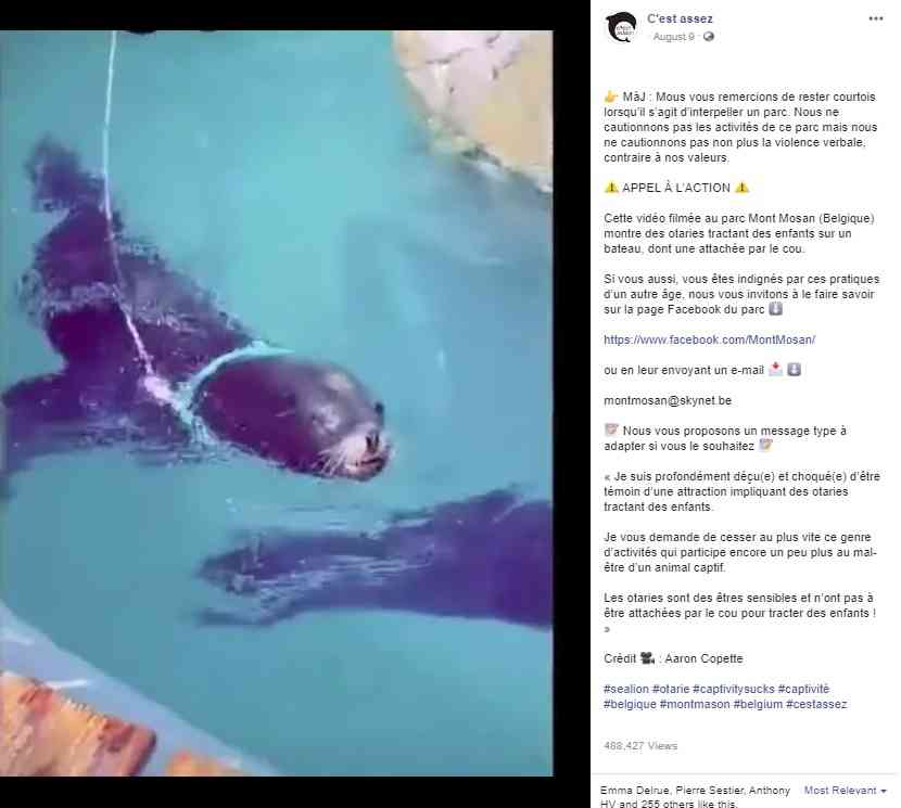 アシカの首にロープをつけ、子供が乗ったボートを引っ張らせる動物公園に「虐待」の声(ベルギー)<動画あり>