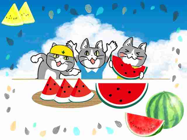 夏だから皆で現場猫を愛でたい！