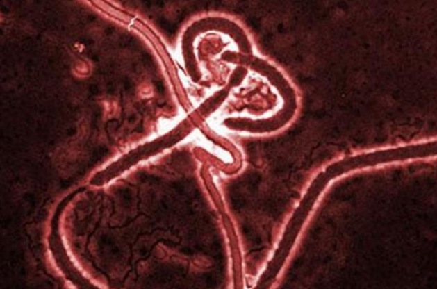 Bill Gates Warns About Global Killer ‘Disease X’: Millions Will Die