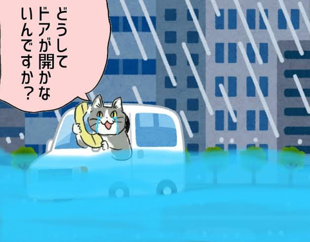 夏だから皆で現場猫を愛でたい！