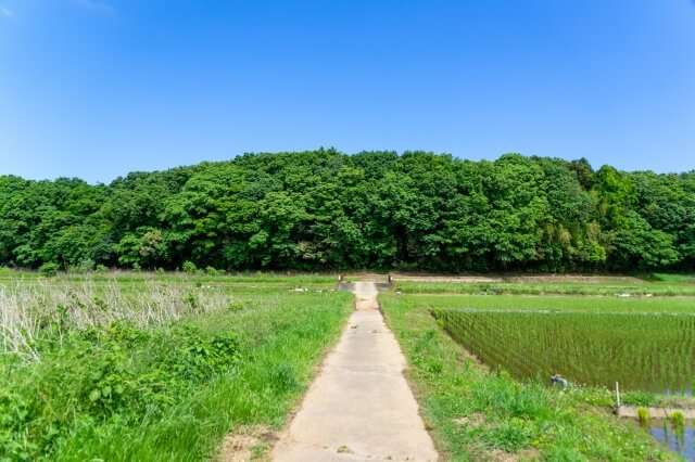 「田舎暮らしは家賃が安い以外にメリットなし」は本当なのか　お金以外のことに目を向けてみると…。