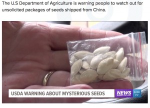 中国からの“謎の種”を植えてしまった男性「狂ったように成長しだした」（米）