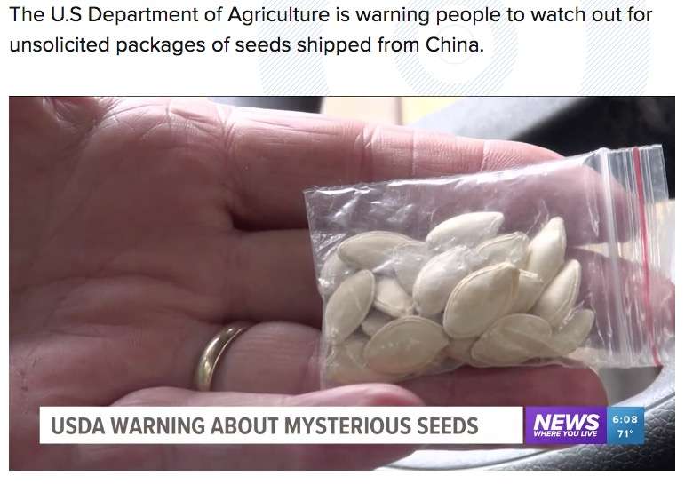 【海外発！Breaking News】中国からの“謎の種”を植えてしまった男性「狂ったように成長しだした」（米） | Techinsight（テックインサイト）|海外セレブ、国内エンタメのオンリーワンをお届けするニュースサイト