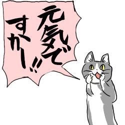 夏だから皆で現場猫を愛でたい！