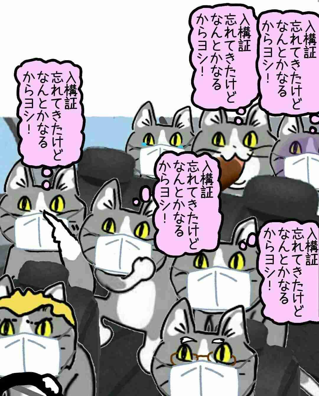 夏だから皆で現場猫を愛でたい！