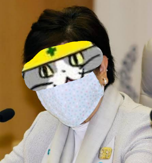 夏だから皆で現場猫を愛でたい！