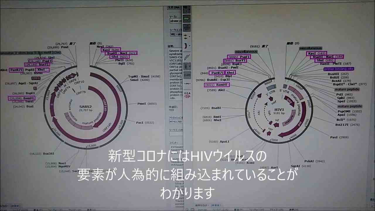 DNA分析で新型●●●がHIVとエボラの生物兵器であることを科学的に証明 - YouTube