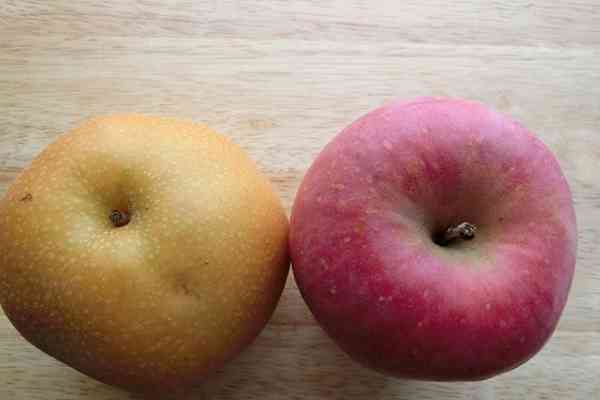 Apple、梨のロゴアイコンを使用したアプリ開発者を商標違反で訴え