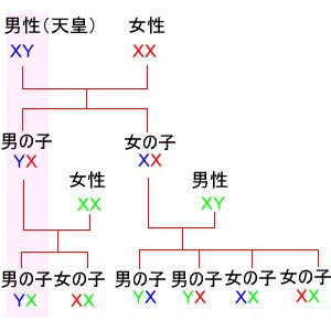 河野防衛相が女系天皇容認論 次の天皇「内親王のお子さまも」