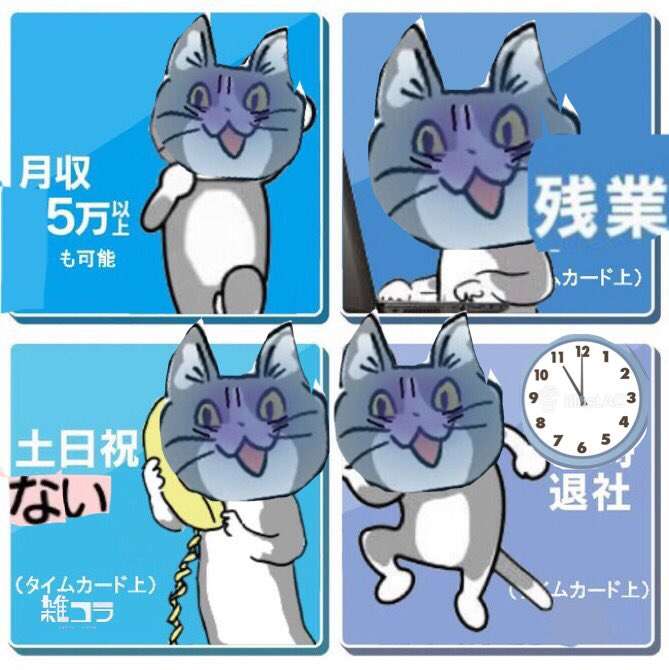 夏だから皆で現場猫を愛でたい！