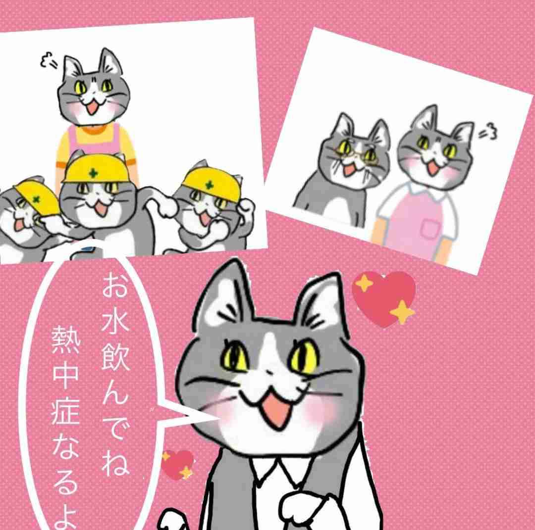 夏だから皆で現場猫を愛でたい！