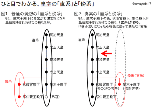 真正保守政党を設立する : 「直系と傍系、男系と女系」ひとめでわかる皇位継承の基礎知識
