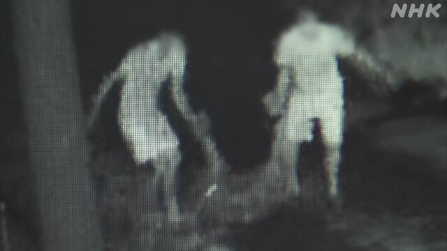 子牛盗難事件 何らかの方法で子牛を気絶させたか 栃木 足利 | NHKニュース