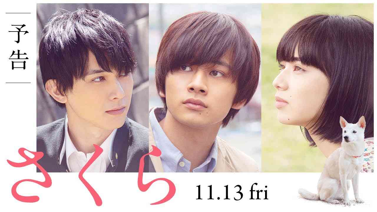 映画『さくら』予告（60秒）2020年11月13日（金）全国ロードショー - YouTube