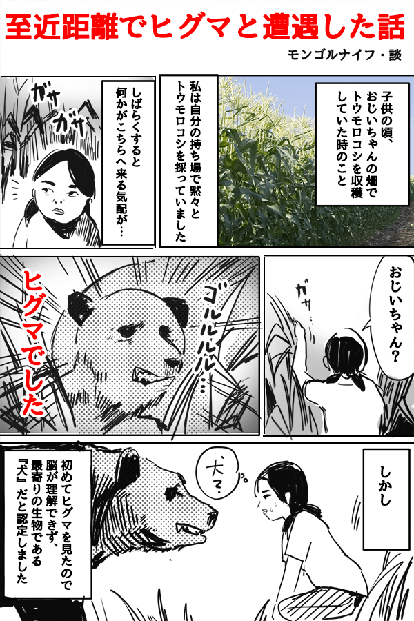 前から向かってきたクマに襲われ自転車に乗った男子高校生けが　秋田・鹿角市