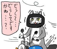夏だから皆で現場猫を愛でたい！