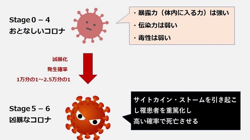新型コロナ､日本で重症化率･死亡率が低いワケ | コロナ戦争を読み解く | 東洋経済オンライン | 経済ニュースの新基準
