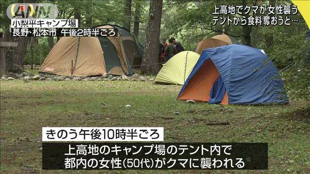 キャンプ場にクマ出没　テントの中で女性襲われけが