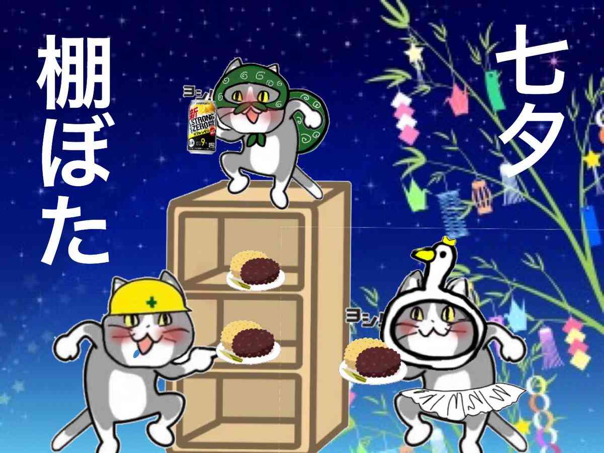 夏だから皆で現場猫を愛でたい！