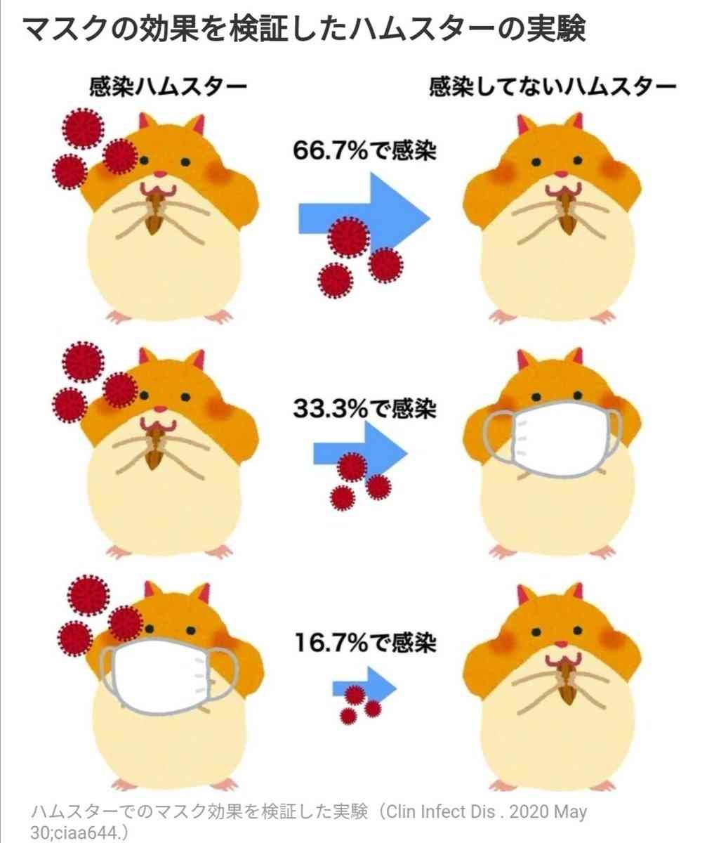 欧州、広がる反マスク=「自由の侵害」と反発 新型コロナ