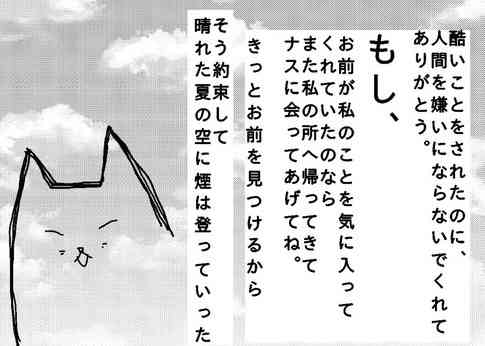 ひどい虐待を受けてもなお人を信じて生きた子猫の話 | おたくま経済新聞