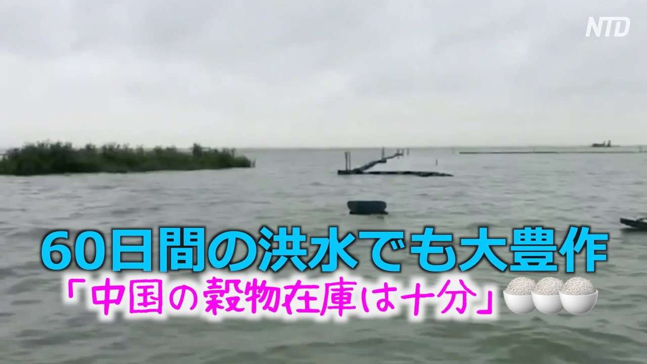 60日間の洪水でも大豊作？「中国の穀物在庫は十分」【禁聞】 - YouTube