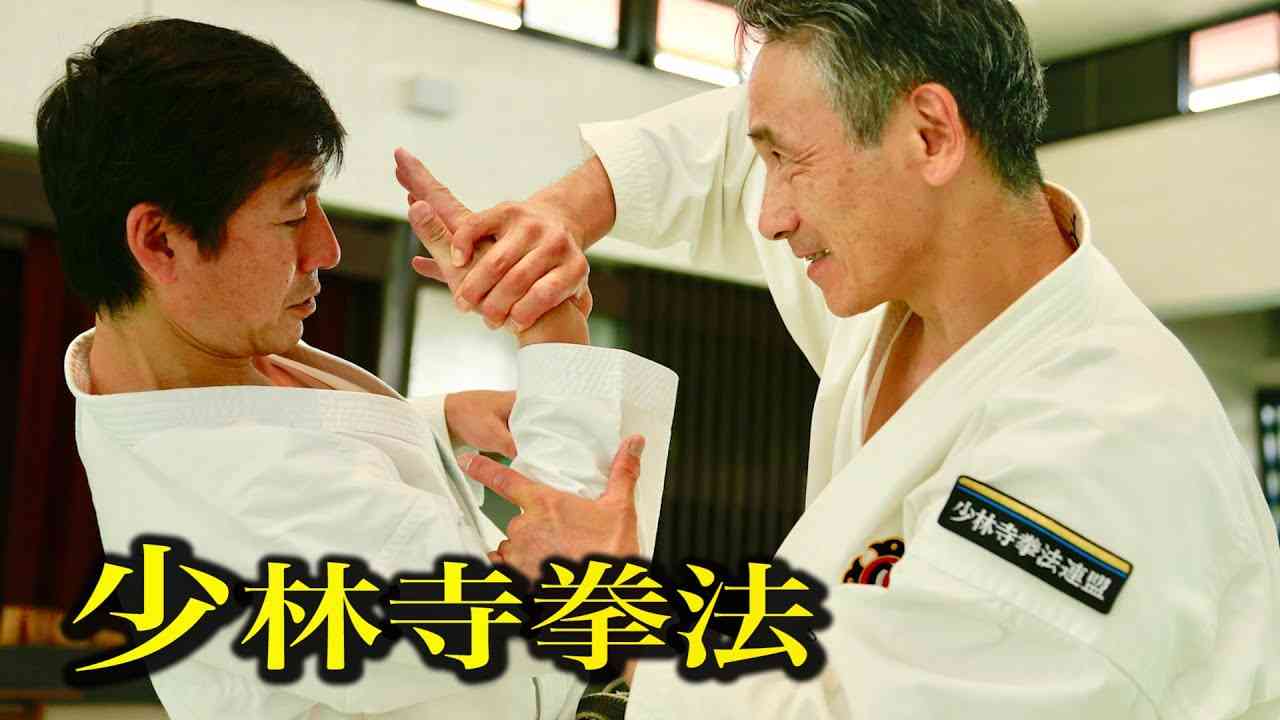 Verification of Shorinji Kempo！少林寺拳法の凄さを堪能できる映像【大いなる遺産２検証企画】 - YouTube