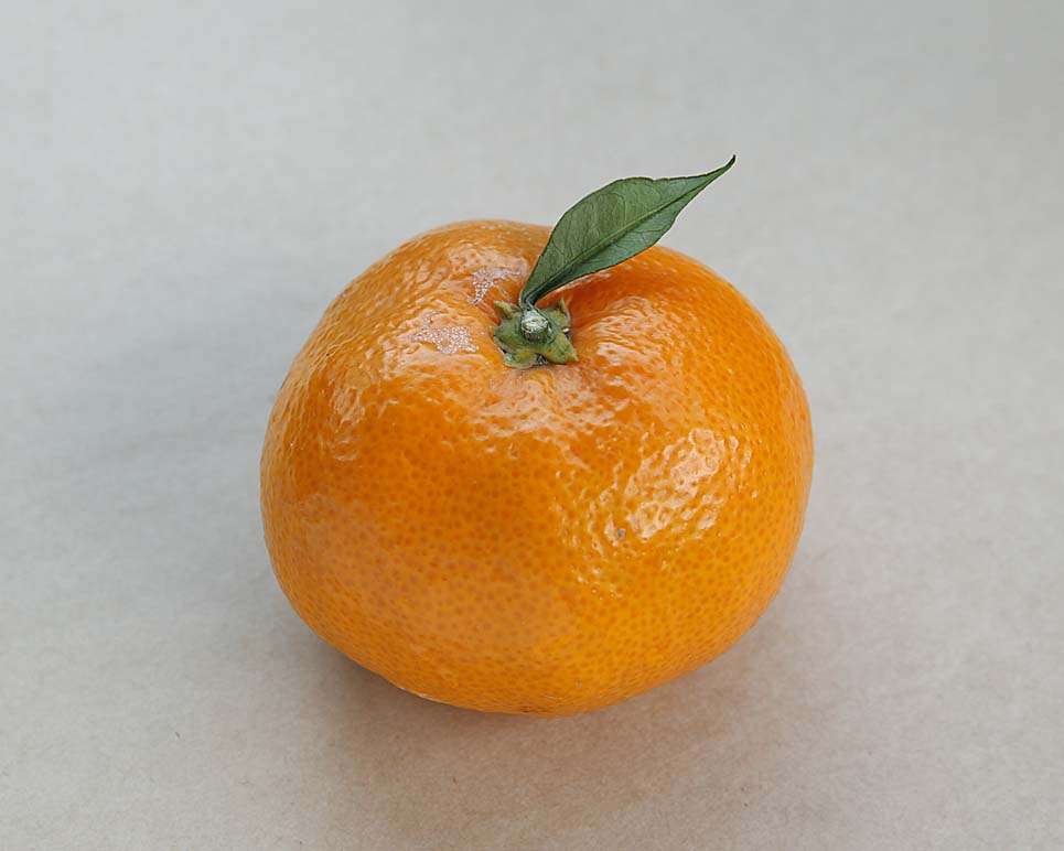 Apple、梨のロゴアイコンを使用したアプリ開発者を商標違反で訴え