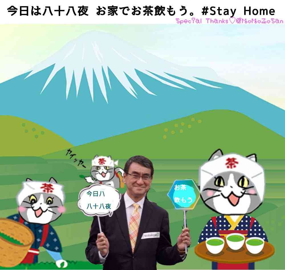夏だから皆で現場猫を愛でたい！