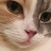 ??にこ姉 on Twitter: 