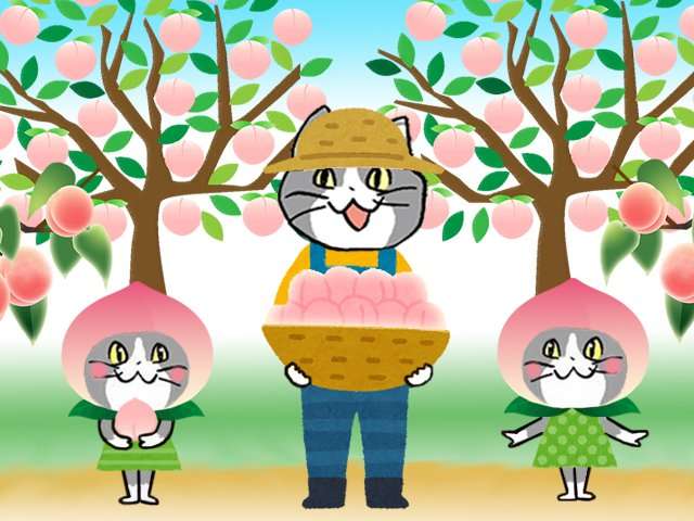 夏だから皆で現場猫を愛でたい！