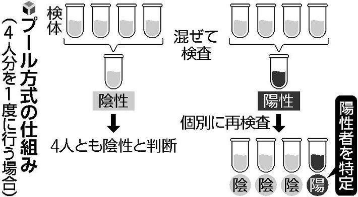 世田谷ＰＣＲは「プール方式」…４人分の検体混ぜて検査、陰性なら全員「陰性」 : 医療・健康 : 読売新聞オンライン